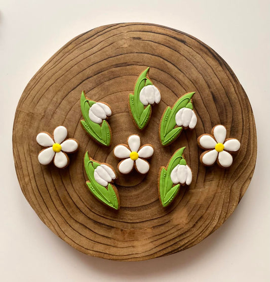 Vykrajovátko Sněženka