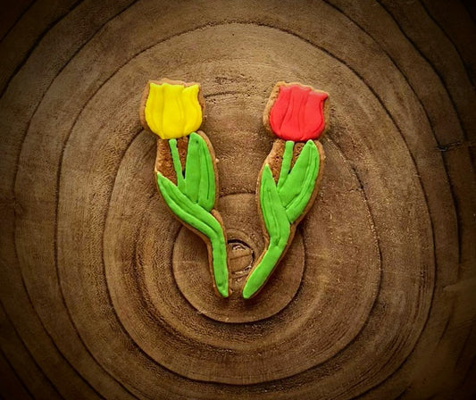 Vykrajovátko Tulipán 4