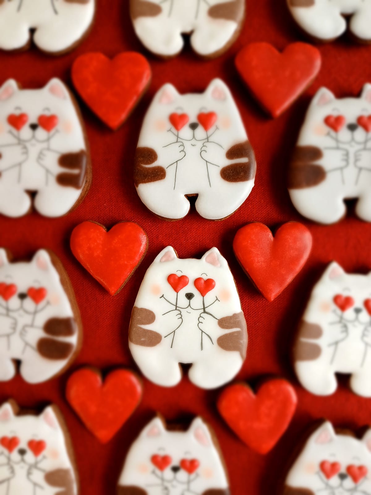 Cat with heart cookie cutter