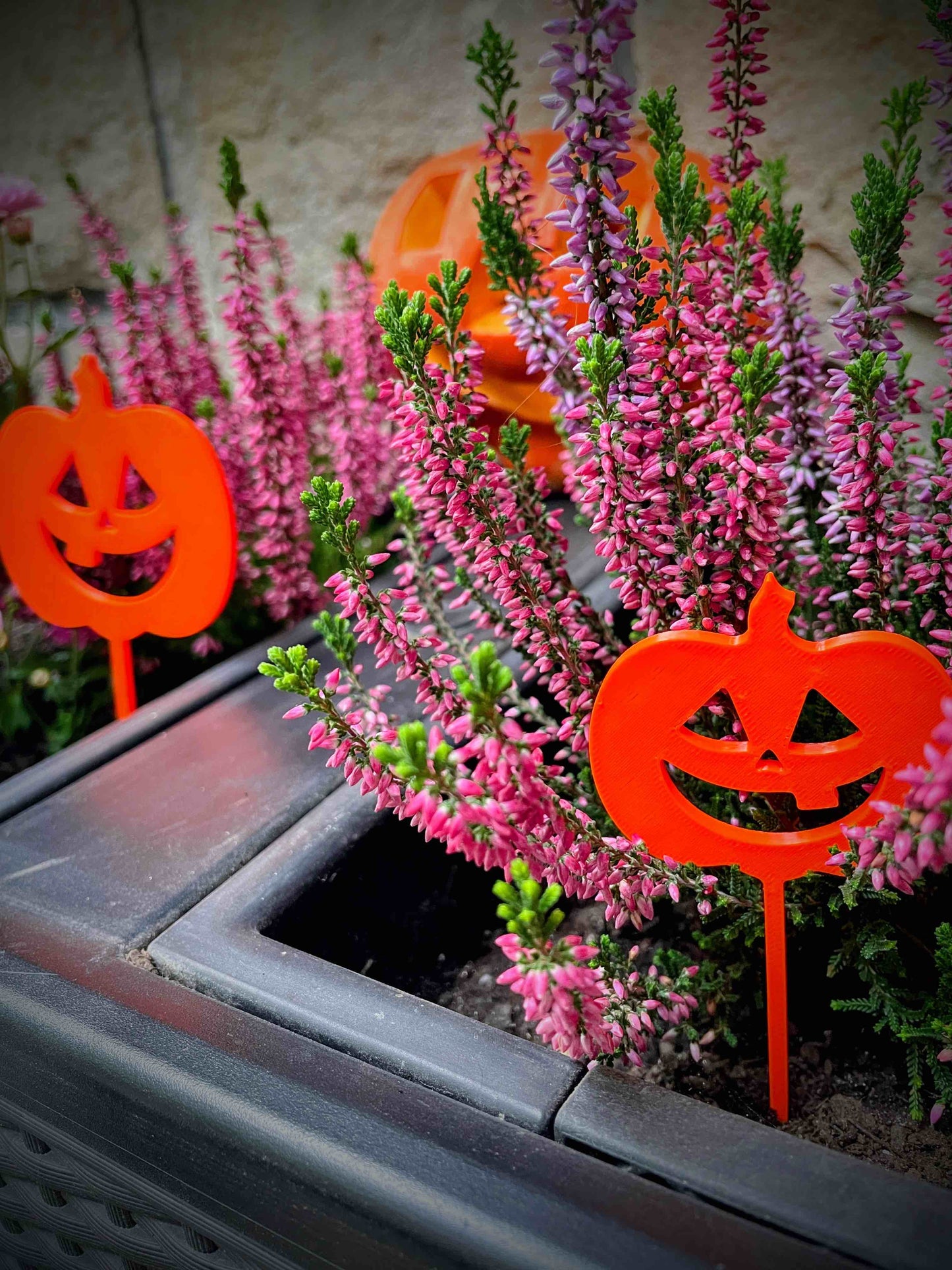 Zápich do květináče - Dýně Halloween